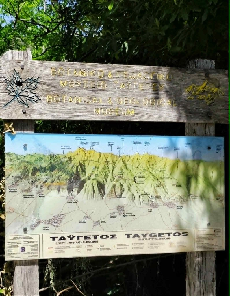 Εσωτερική εικόνα άρθρου