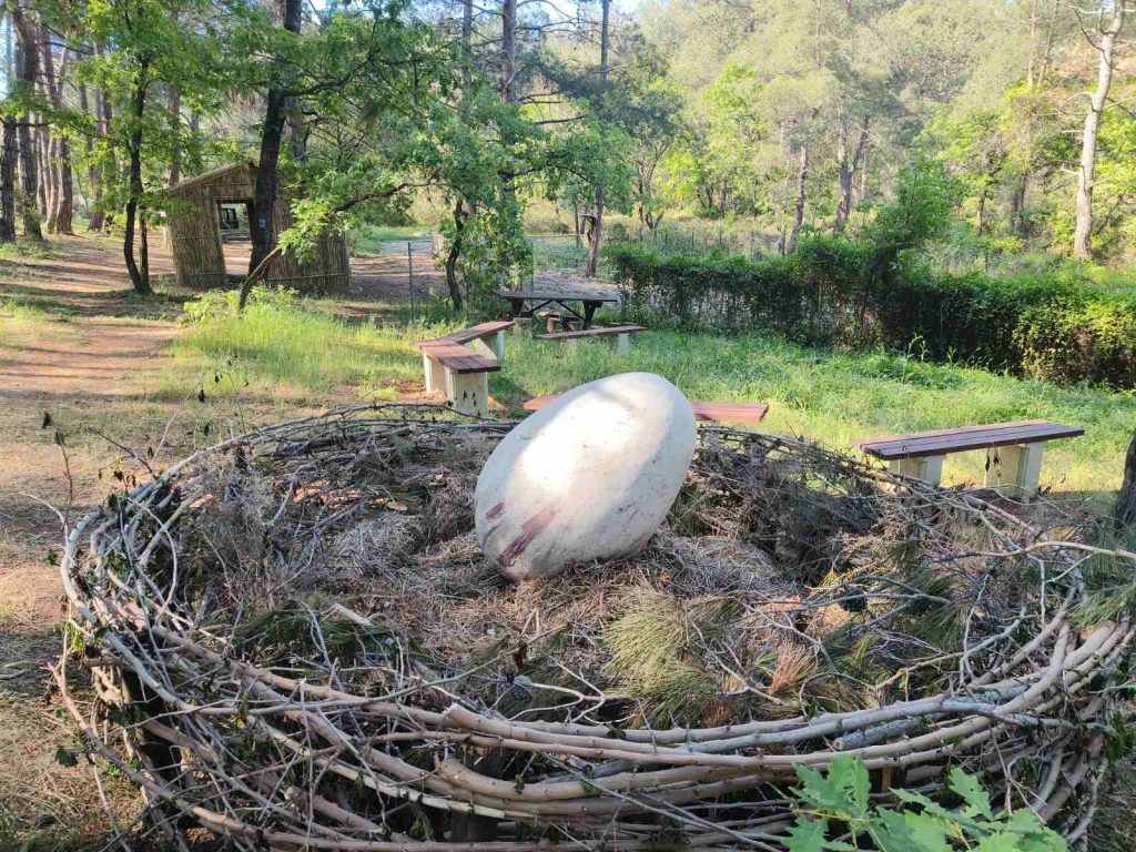Εσωτερική εικόνα άρθρου