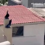 Περιστέρι: Ένοχοι οι γονείς των 6 παιδιών που ζούσαν σε άθλιες συνθήκες – Τι αποφάσισε το δικαστήριο