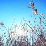 HELLENiQ ENERGY: Από τη βιωσιμότητα στη μακροπρόθεσμη αξία
