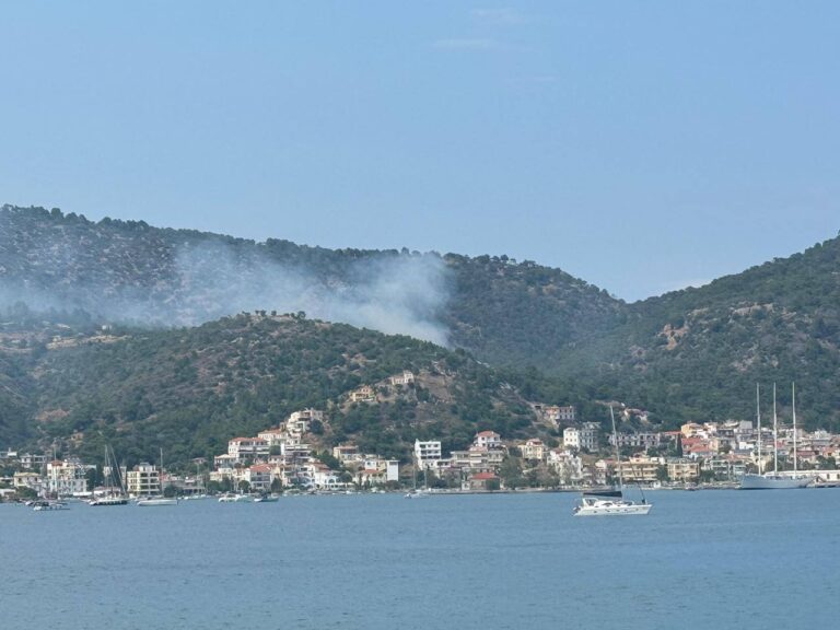 Πόρος: Φωτιά σε δασική περιοχή – Πάνω από 15 πυροσβέστες στο σημείο [Εικόνες]