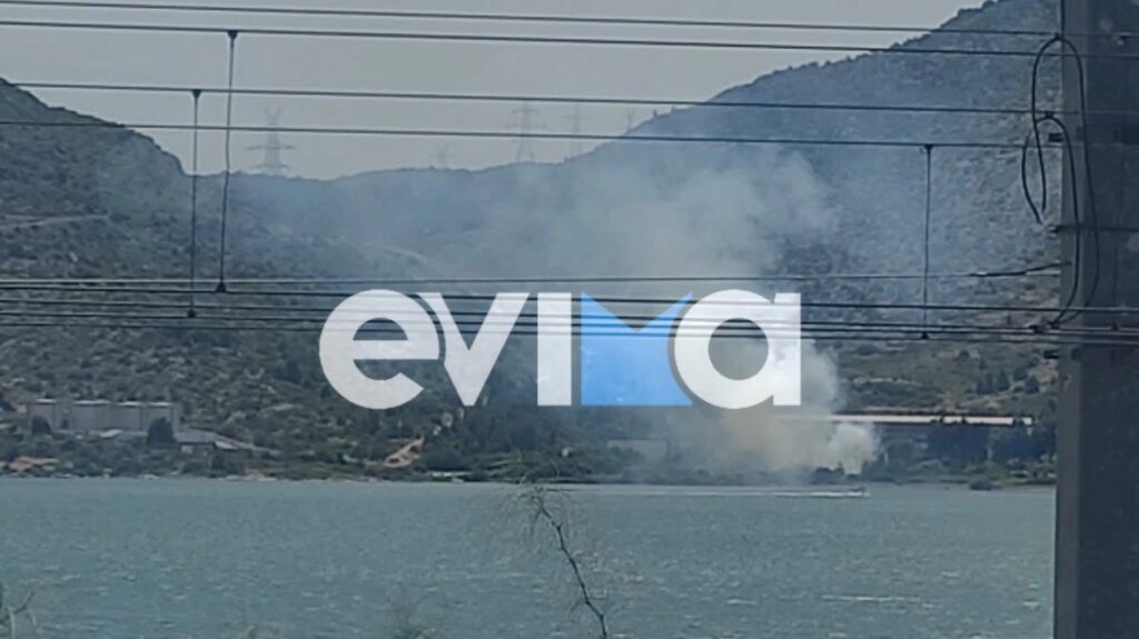 Συναγερμός στην Χαλκίδα: Φωτιά δίπλα σε εργοστάσιο