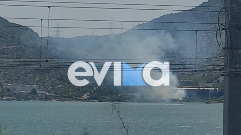 Συναγερμός στην Χαλκίδα: Φωτιά δίπλα σε εργοστάσιο