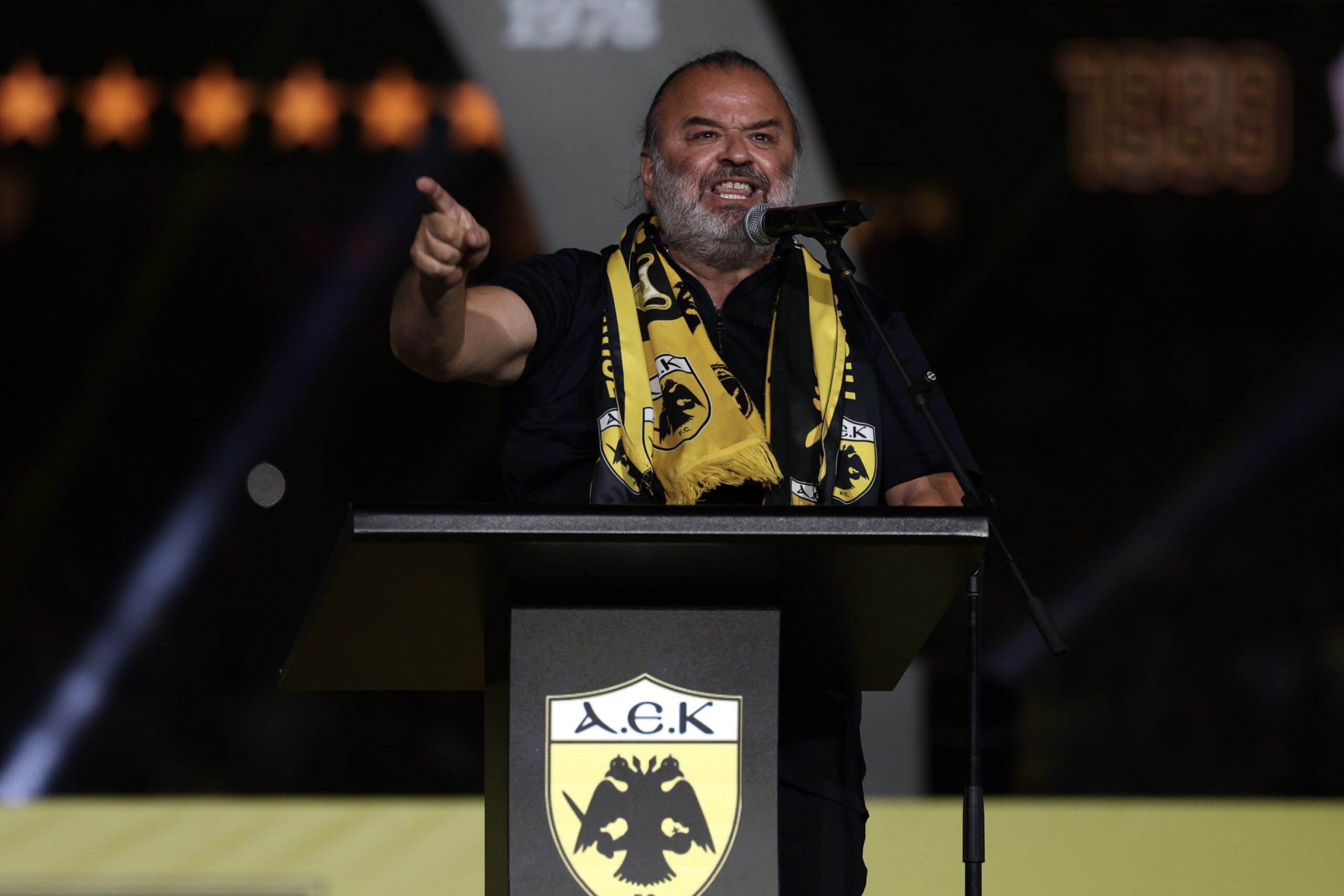 Εσωτερική εικόνα άρθρου