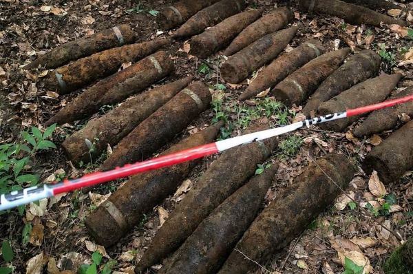 Γερμανία: Περιπατητής εντόπισε 59 σοβιετικές οβίδες του Β΄ Παγκοσμίου Πολέμου σε δάσος