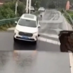 Κίνα: Κατέρρευσε γέφυρα στην επαρχία Χουμπέι – Αυτοκίνητο έπεσε στο ποτάμι λόγω σφοδρής κακοκαιρίας