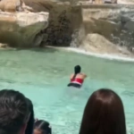 Ιταλία: Τουρίστρια βούτηξε στη Φοντάνα ντι Τρέβι για να δροσιστεί από τον καύσωνα