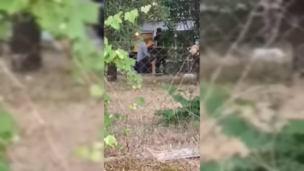 Πατροκτονία στη Θέρμη: Δίωξη για ανθρωποκτονία με δόλο στον 30χρονο – Νέες εικόνες από το σπίτι όπου έγινε το έγκλημα