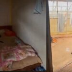 Χανιά: Σοκαριστικές εικόνες από το θερμοκήπιο, όπου βρέθηκαν τα παιδιά της 25χρονης μητέρας που κατηγορείται για κακοποίηση της 3χρονης κόρης της