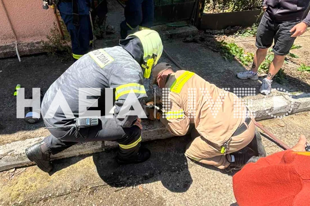 Εσωτερική εικόνα άρθρου