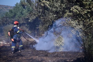 Μπαράζ συλλήψεων για τις φωτιές σε όλη τη χώρα – Χειροπέδες σε 4 σε Βοιωτία, Λάρισα, Χαλκιδική και Θεσσαλονίκη