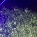 Κίνα: Λέιζερ με τεχνητή νοημοσύνη για εξόντωση… κουνουπιών συγκεντρώνει πάνω από 2,5 εκατ. δολάρια μετά από viral βίντεο στο TikTok