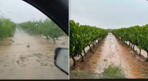 Αμύνταιο: Σφοδρή χαλαζόπτωση έπληξε τις καλλιέργειες – Οι δρόμοι μετατράπηκαν σε ποτάμια – Υποχώρησε περίφραξη γηπέδου [Εικόνες, Βίντεο]