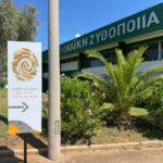 Αθηναϊκή Ζυθοποιία: Επενδύσεις άνω των 60 εκατ. ευρώ στην Πάτρα και σχέδιο για το «ζυθοποιείο του μέλλοντος»