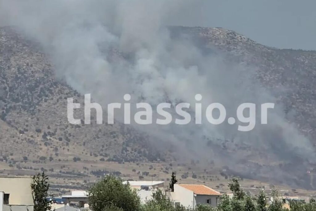 Μεγάλη φωτιά στον Ασπρόπυργο: Επιχειρούν πάνω από 100 πυροσβέστες και 5 ελικόπτερα