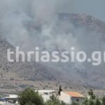 Μεγάλη φωτιά στον Ασπρόπυργο: Επιχειρούν πάνω από 100 πυροσβέστες και 5 ελικόπτερα