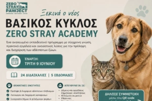 Δωρεάν εκπαιδευτικό πρόγραμμα για δήμους από το Zero Stray Academy