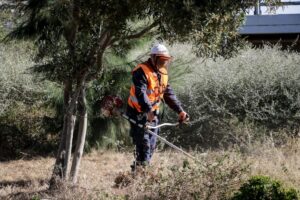 Ακαθάριστα οικόπεδα: Η ώρα των ελέγχων – Τα πρόστιμα και οι κυρώσεις