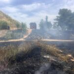Φωτιά στο Άλσος Βεΐκου: Ξεκίνησε από μελίσσια – Σε εξέλιξη οι έρευνες – Αναζητούνται οι μελισσοκόμοι