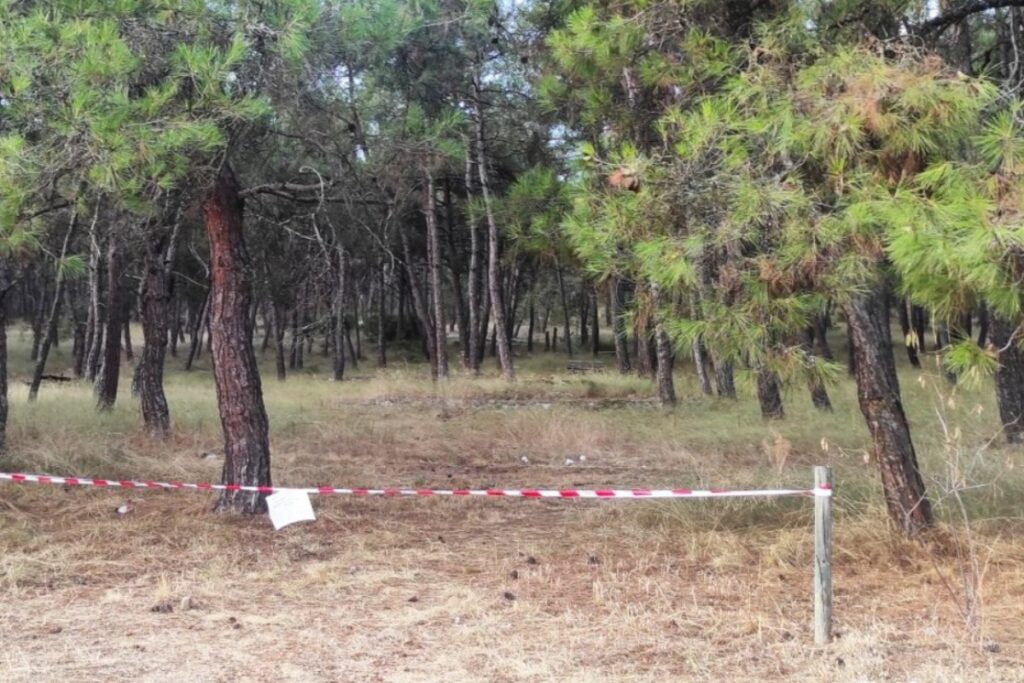 Γυναικοκτονία στη Δράμα: «Το ζευγάρι δεν είχε απασχολήσει ποτέ την αστυνομία» – Το ανήλικο παι