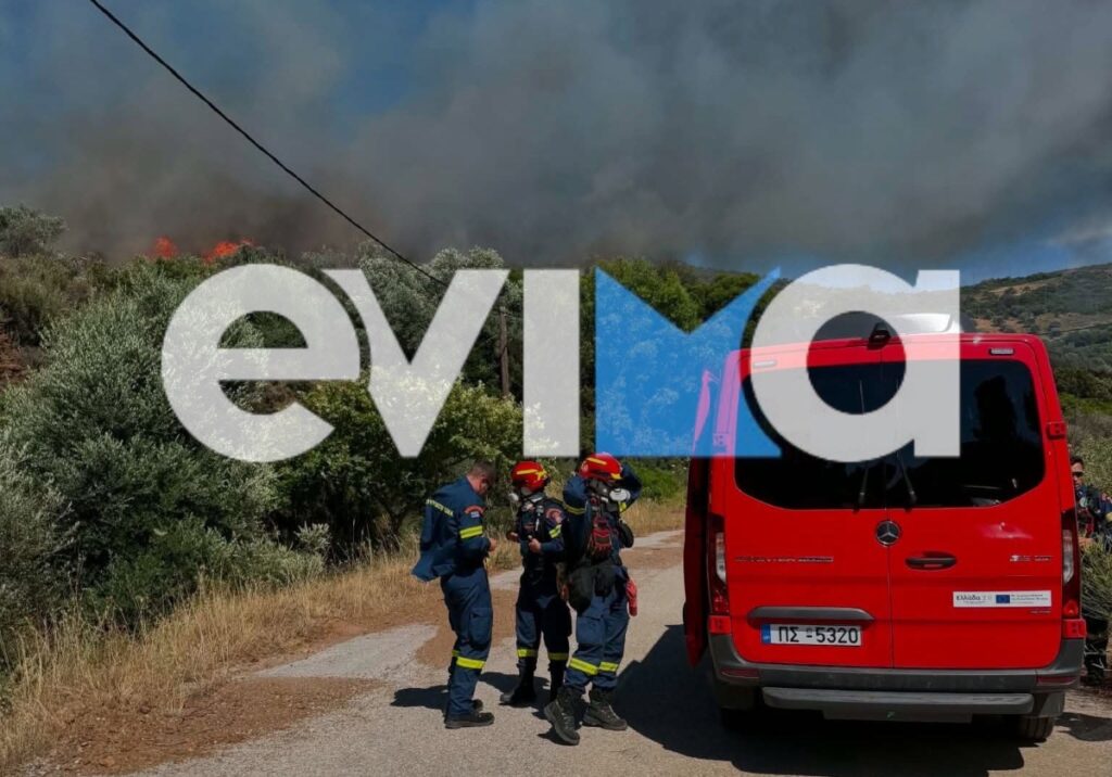 Μεγάλη φωτιά τώρα στην Κάρυστο – Επιχειρούν και εναέριες δυνάμεις [βίντεο]
