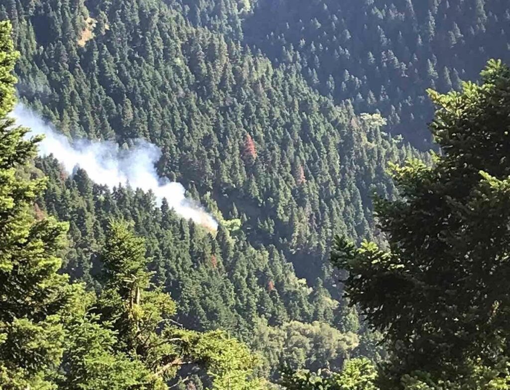 Νέα εστία φωτιάς τώρα στη Ναυπακτία – Ανάμεσα σε Κρυονέρια και Περδικόβρυση