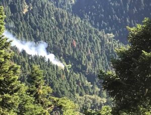 Νέα εστία φωτιάς τώρα στη Ναυπακτία – Ανάμεσα σε Κρυονέρια και Περδικόβρυση