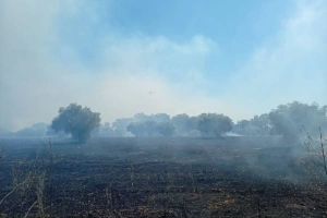 Ηλεία: Υπό έλεγχο το πύρινο μέτωπο στη Βάρδα μετά από πολύωρη μάχη