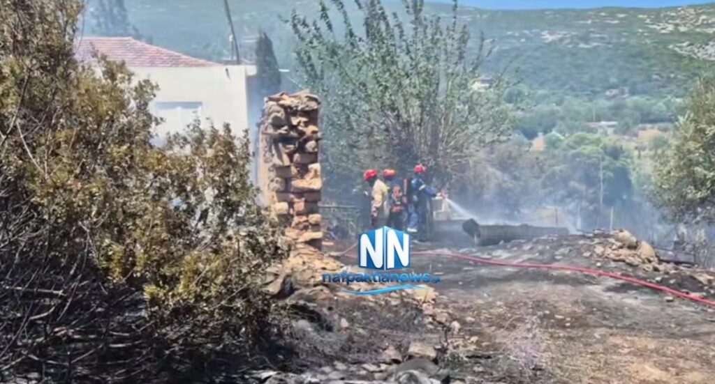 Ναύπακτος: Φωτιά κοντά σε σπίτια στη Μαμουλάδα – Τέθηκε υπό έλεγχο το πύρινο μέτωπο [Βίντεο]