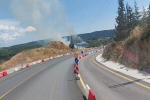 Θεσσαλονίκη: Οριοθετήθηκε η φωτιά στο Φίλυρο - Δεν απειλήθηκαν κατοικίες και υποδομές [Εικόνες-Βίντεο]