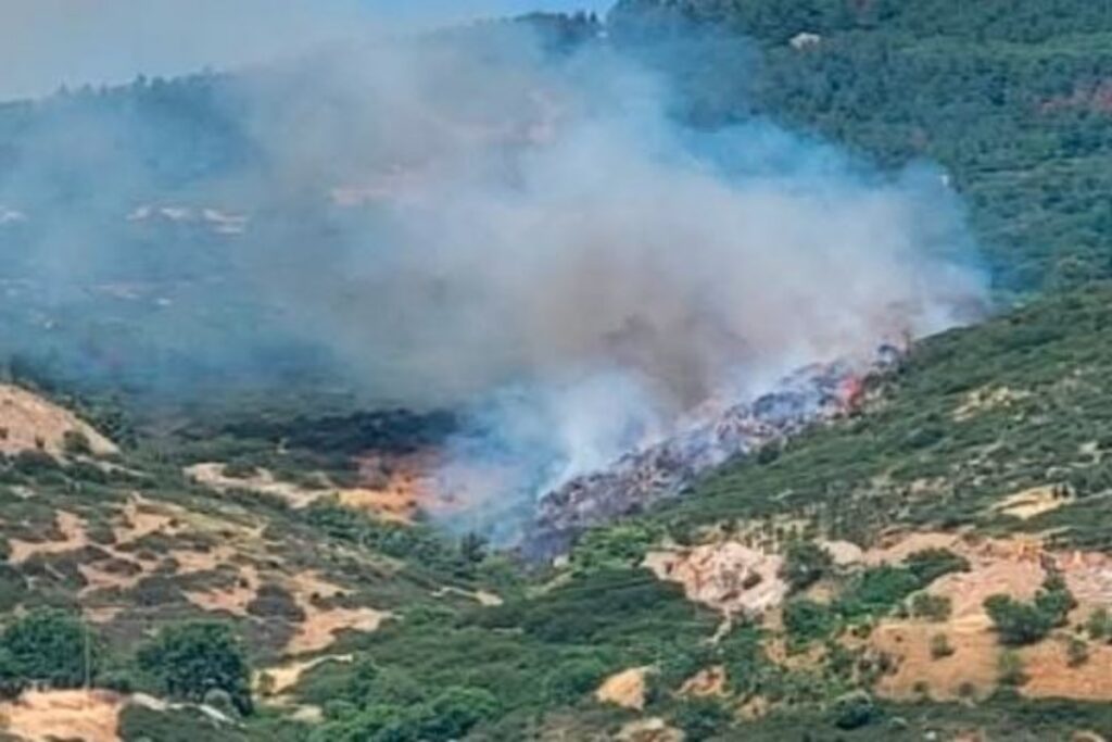 Θεσσαλονίκη: Ήχησε το 112 για τη φωτιά στο Φίλυρο – «Παραμείνετε σε ετοιμότητα» [Εικόνες-Βίντε