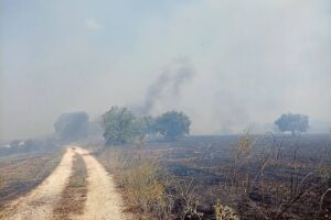 Φωτιά τώρα στην Περαχώρα Λουτρακίου- Καίγεται αγροτοδασική έκταση