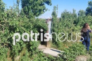 Γαστούνη: 57χρονος βρέθηκε νεκρός σε ποιμνιοστάσιο