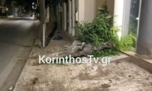 Κιάτο: Όχημα «ξήλωσε» δέντρο και κατέληξε σε κατάστημα