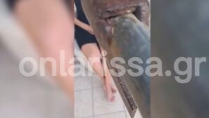 Λάρισα: 50χρονος μετέδιδε live την ομηρία της πρώην συζύγου του – Την απειλούσε ότι θα της βάλει φωτιά