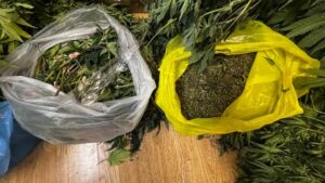 Πώς αλλάζει ο χάρτης των ναρκωτικών στην Ελλάδα - Τι είναι το «waterbed effect» και ποιες είναι οι κυρίαρχες ουσίες στην αγορά