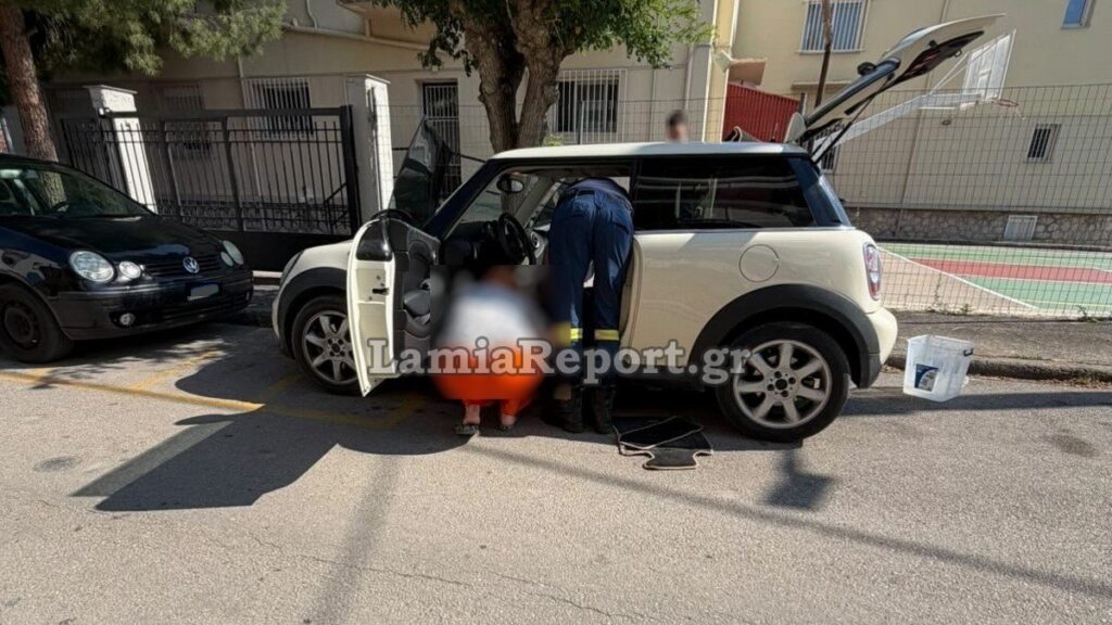 Αναστάτωση στη Λαμία: Φίδι «τρύπωσε» στο εσωτερικό αυτοκινήτου