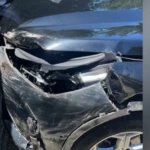 Τροχαίο με αρκούδα στην Εγνατία Οδό στα Γρεβενά – Σώος ο οδηγός