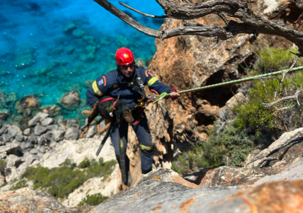 Ζάκυνθος: Αίσιο τέλος για σκύλο που εγκλωβίστηκε σε γκρεμό στην περιοχή Κερί
