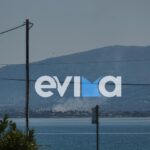 Συναγερμός στην Χαλκίδα: Ξέσπασε φωτιά στην περιοχή Δροσιά