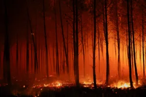 Πύρινος εφιάλτης σε Γαλλία και Ισπανία: Εκκλήσεις για ευρωπαϊκή βοήθεια, μαζικές εκκενώσεις και χιλιάδες στρέμματα στάχτη