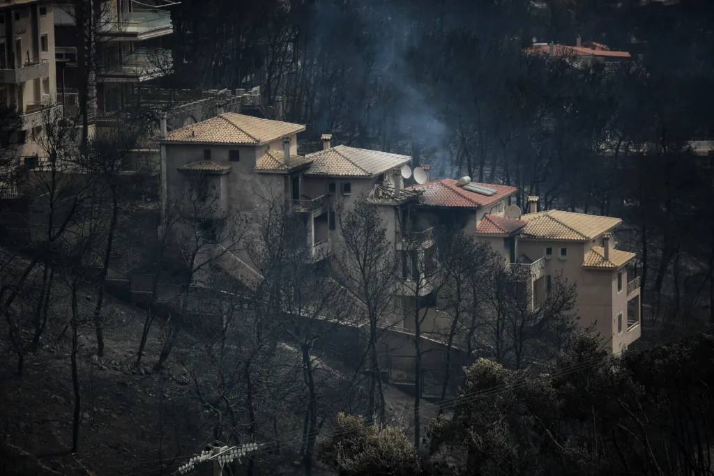 Εσωτερική εικόνα άρθρου