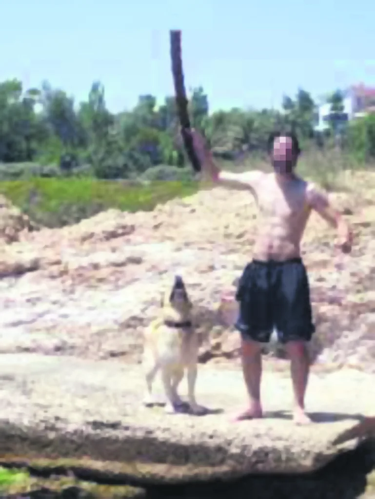 Εσωτερική εικόνα άρθρου