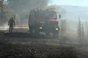 Νέα φωτιά στο Κιλκίς: Μήνυμα από το 112 – «Παραμείνετε σε ετοιμότητα»