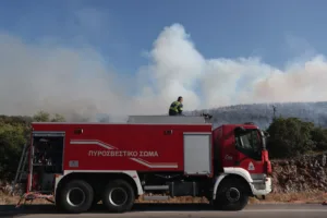 Φωτιά τώρα στην Καβάλα: Μεγάλη κινητοποίηση για πυρκαγιά σε δασική έκταση στον Δήμο Νέστου