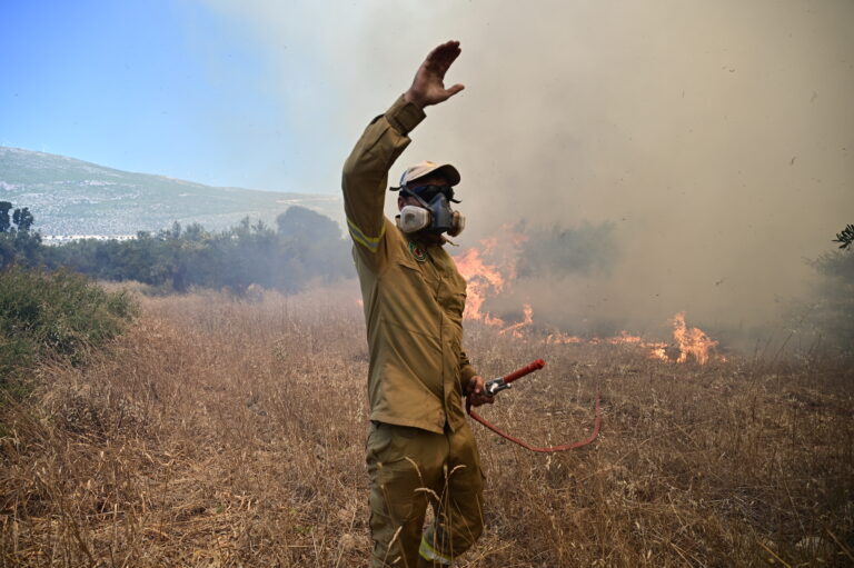 Φωτιά τώρα στη Χαλκιδική – Καίει σε αγροτοδασική έκταση στο Παλαιοχώρι