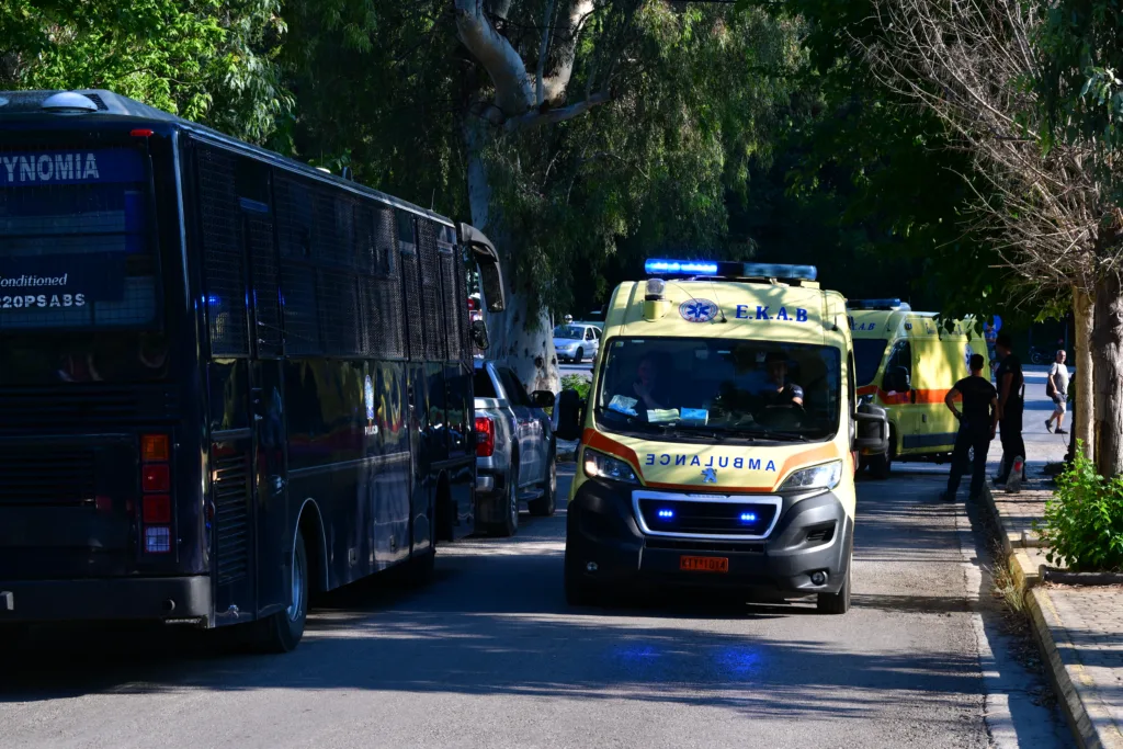 Εσωτερική εικόνα άρθρου