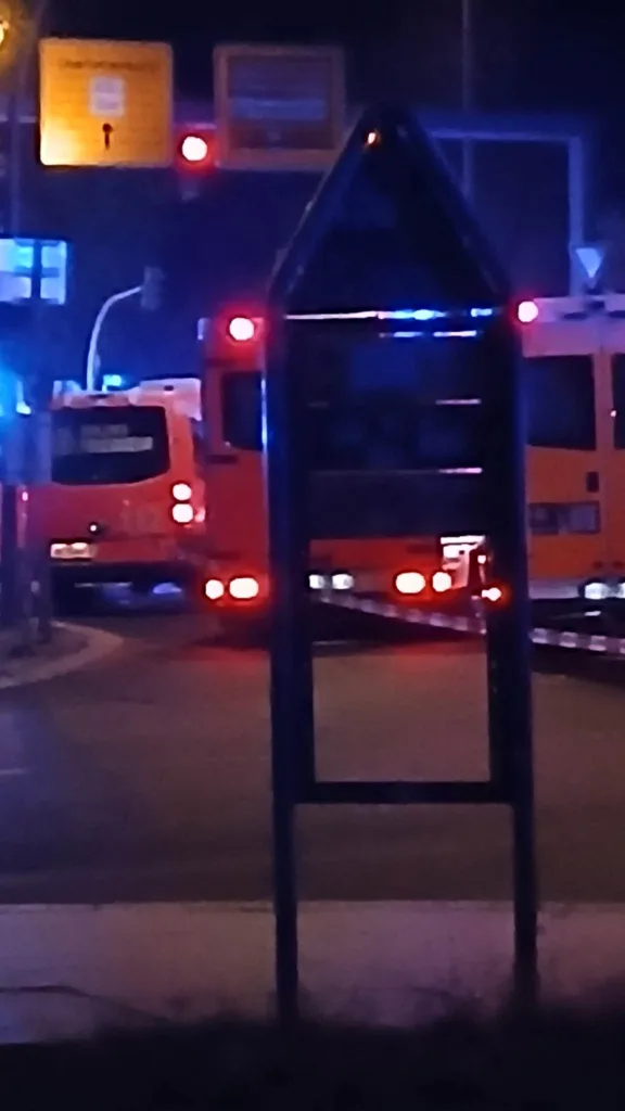 Εσωτερική εικόνα άρθρου