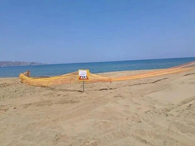 Εσωτερική εικόνα άρθρου