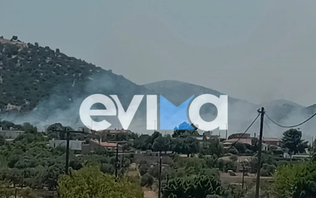 Φωτιά τώρα στην Εύβοια: Συναγερμός στο Μηλάκι – Κοντά σε σπίτια και εργοστάσιο οι φλόγες